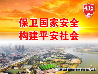 10（保卫国家安全 构建平安社会）.jpg