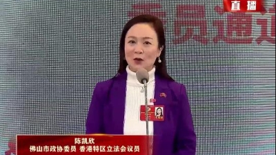 陈凯欣：香港委员带来“北部都会区”新机遇
